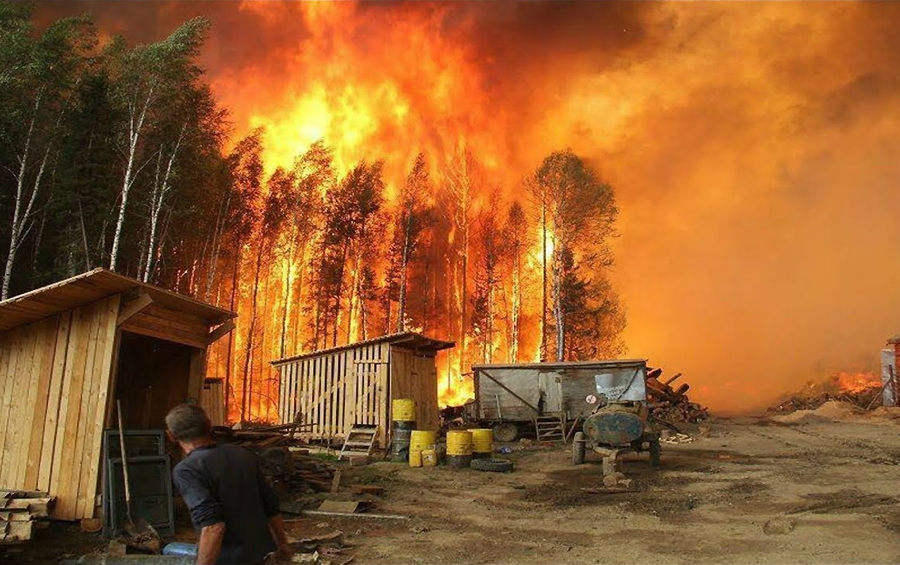 Ліси у вогні: наскільки готова Україна до боротьби з пожежами?
