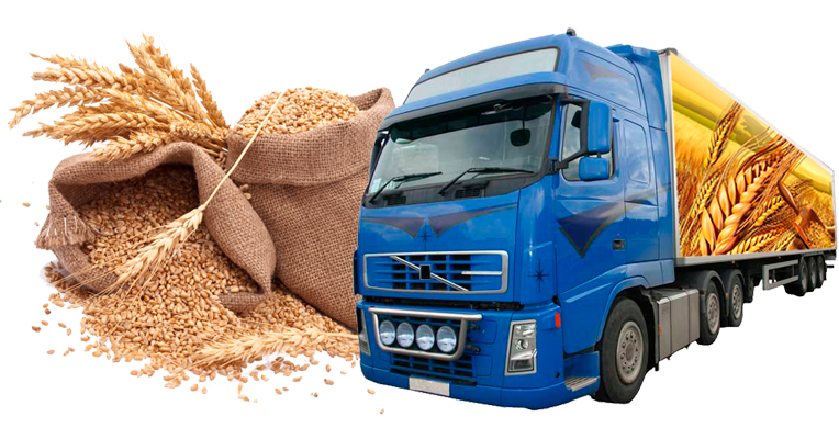 ДУМКА: Низькі ціни на фрахт зерновозів загрожує протестами перевізників