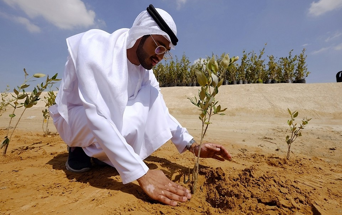 Сельское хозяйство саудовской аравии
