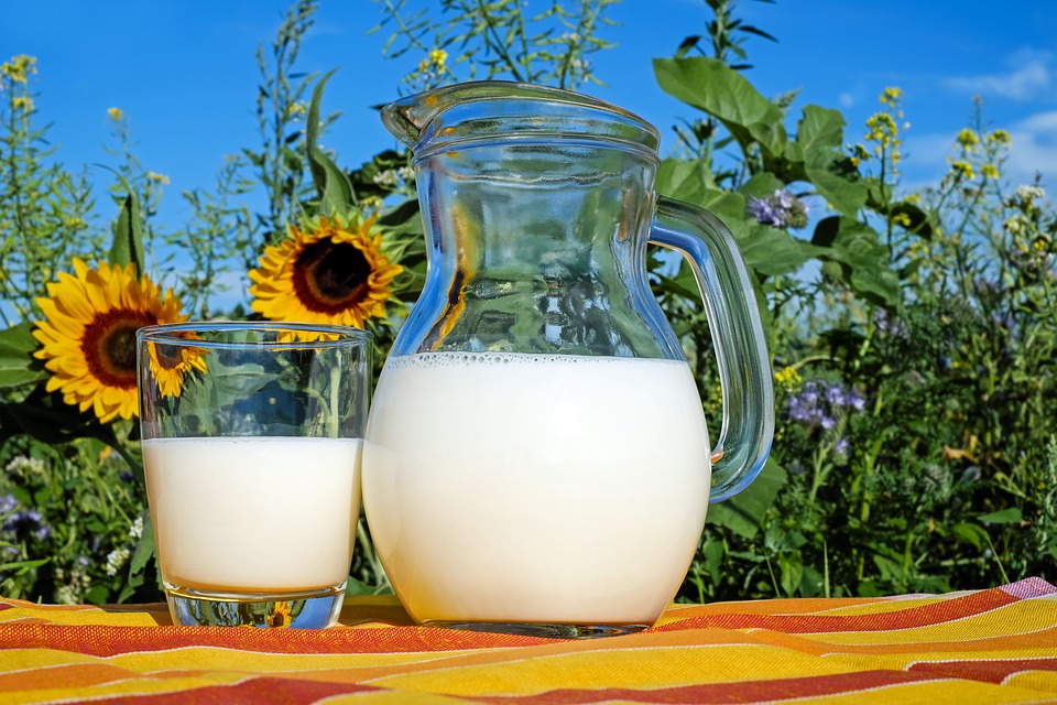 Вітчизняні переробники збільшують частку закупівлі молока у сільгосппідприємств